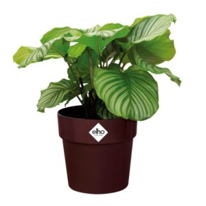 ELHO BLOEMPOT 18CM B.FOR ORIGINAL ROND PAARS