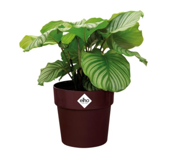 ELHO BLOEMPOT 18CM B.FOR ORIGINAL ROND PAARS