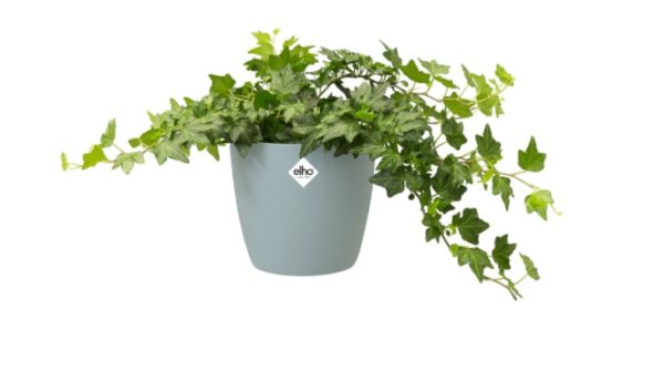 ELHO BLOEMPOT Ø14 CM MINT ROND BRUSSELS