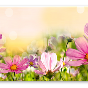 STYLER FLOWERS 50X125 ASTRY