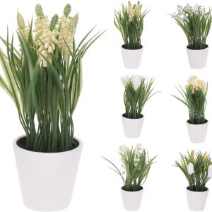 KM PLANT IN POT PP MET TOUW