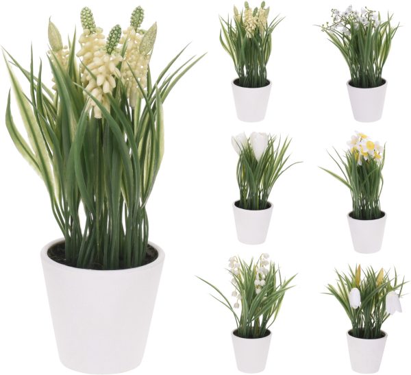 KM PLANT IN POT PP MET TOUW