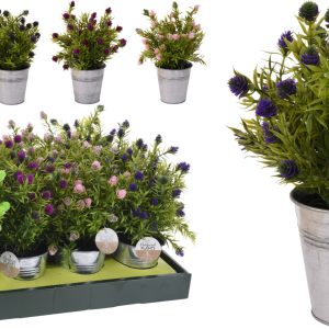 KM PLANT IN POT 26CM