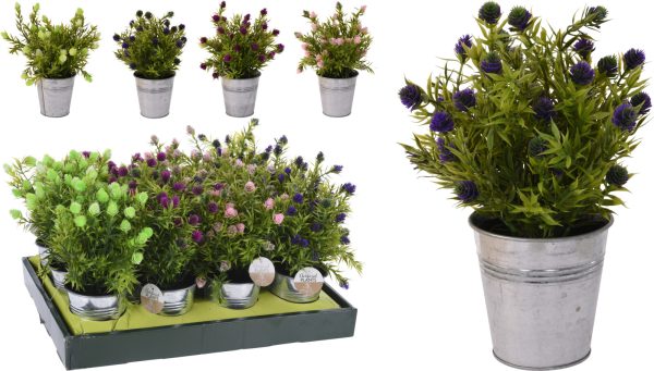 KM PLANT IN POT 26CM