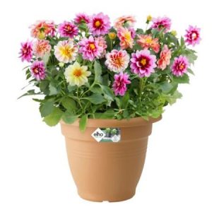 Bloempotten & Onderleggers